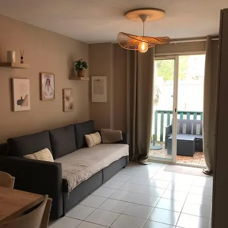 34 M2 - 300m De La - 4 Pers - Piscine - Parking Prive Apartment *